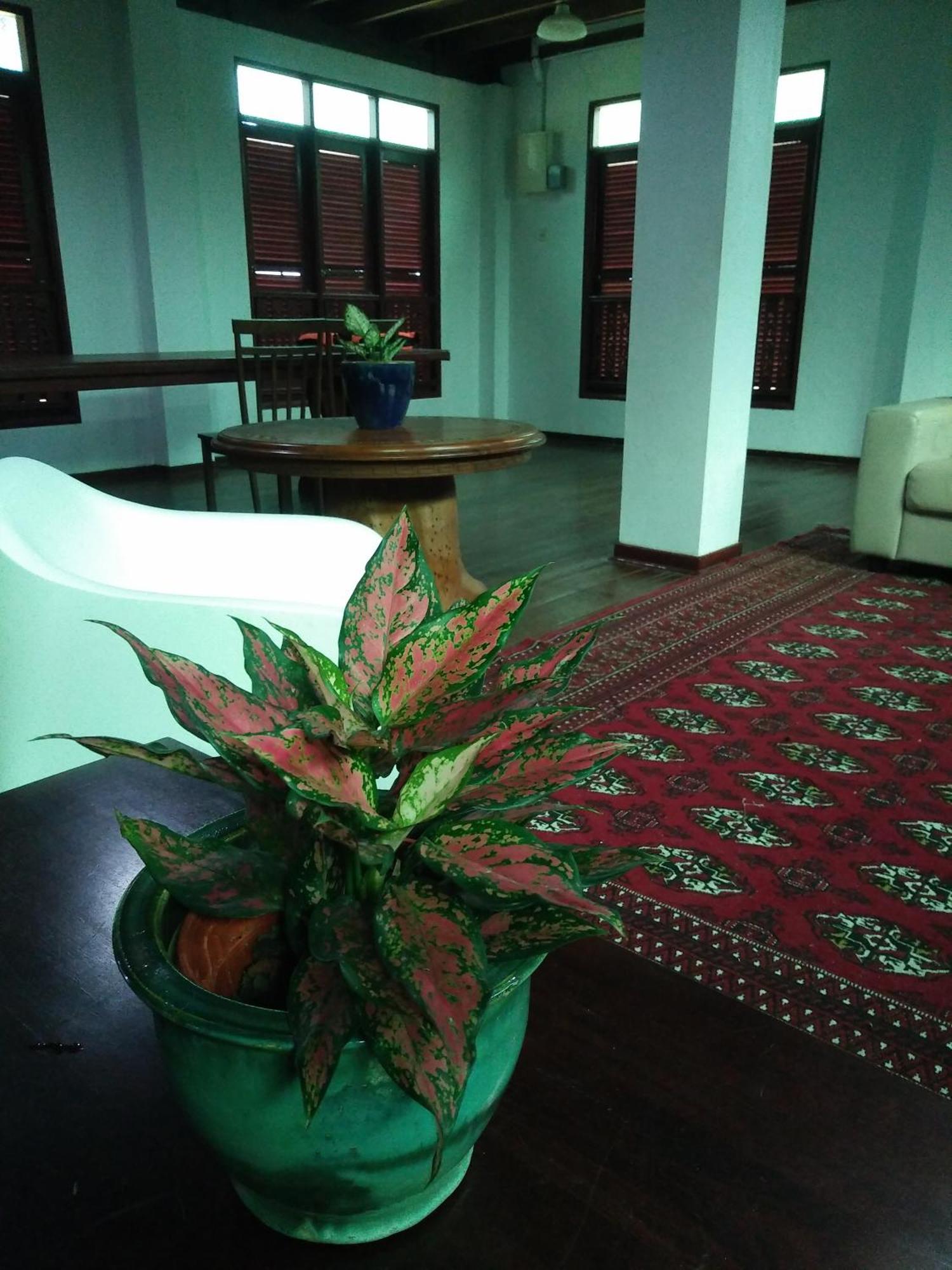 فيلا Thesanctuary@Telagapapan Kampung Hulu Caluk المظهر الخارجي الصورة